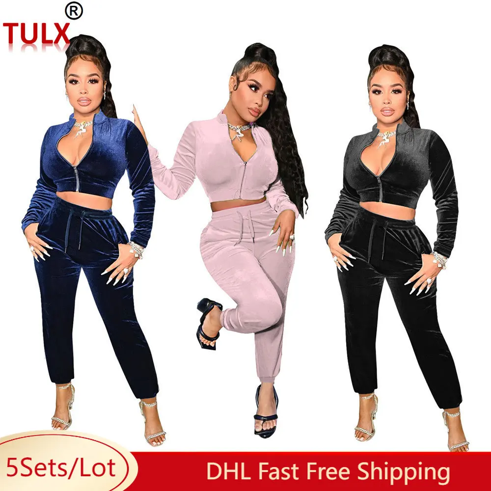 

5sets Wholesale Velvet Tracksuits Women Two Piece Set Fall Winter Sweatsuits Long Sleeve Jacket Pants Sportswear Bulk DHL 8488