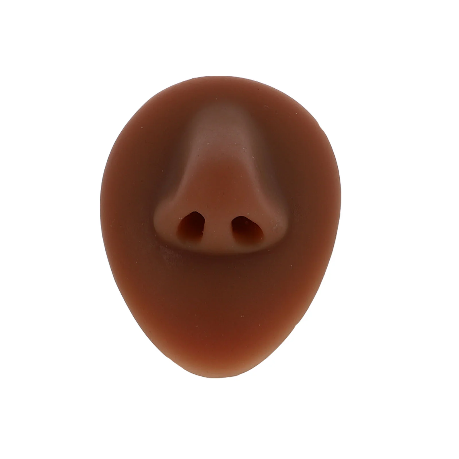 

1Pc Pierce Practice Model Pierce Practice Prop Nose Model for School Practice