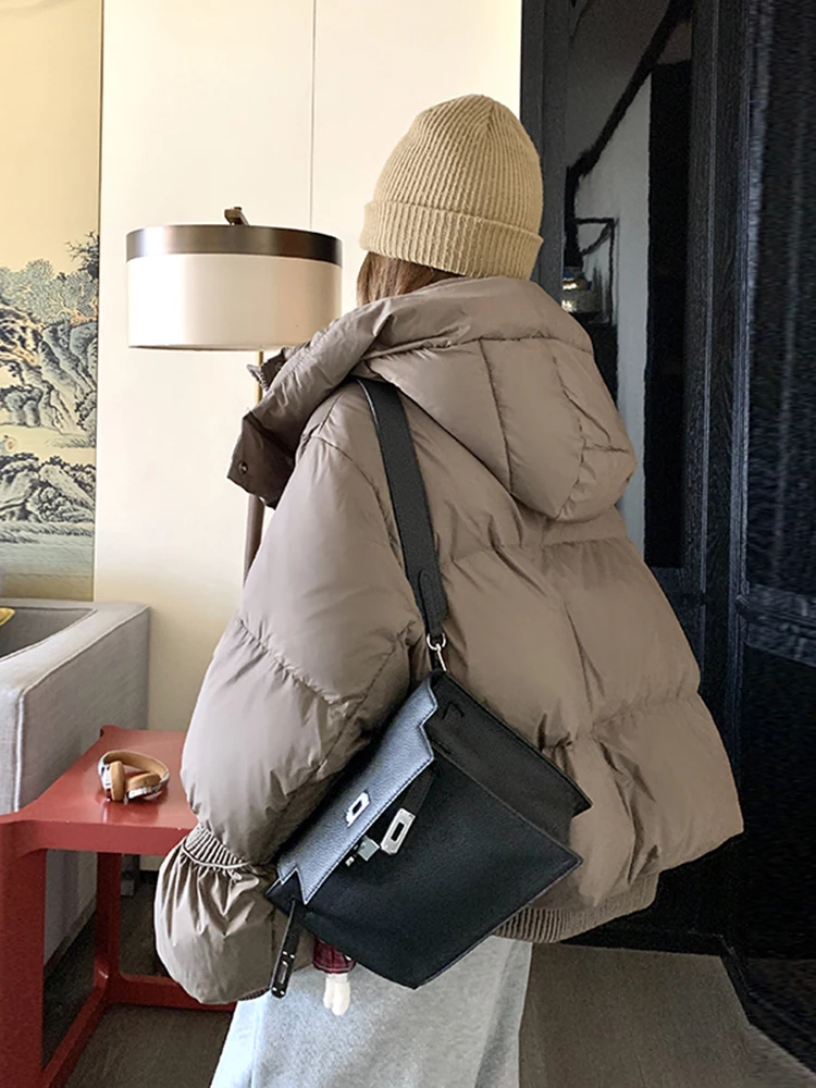 Maillard Short Down jacket Women's Winter 2024 New Small Fashion Western Sle down Coat Hoodie