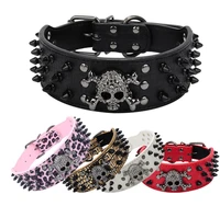 2 wide anti bite bullet rivets leather dog collar with cool skull for golden retriever husky border collar pet accessories