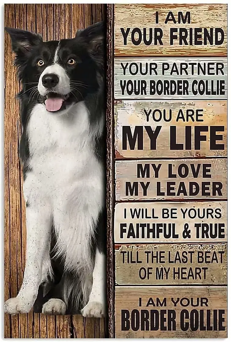 

Metal Tin Sign-Golden Retriever Weimaraner Is The Most Loyal Partner of Mankind Old-Fashioned Tin Sign Is Suitable for Home 8x12
