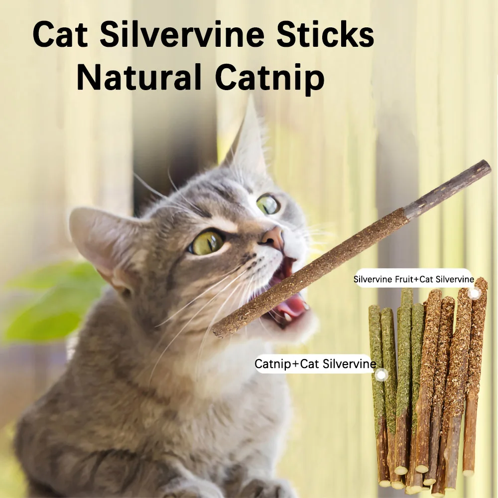 Catnip Stick Cat Cleaning Teeth Grinding Tooth Silver-vine Fruit Silvervine Actinidia Matatabi Powder Cat Toy Catnip Wall Ball
