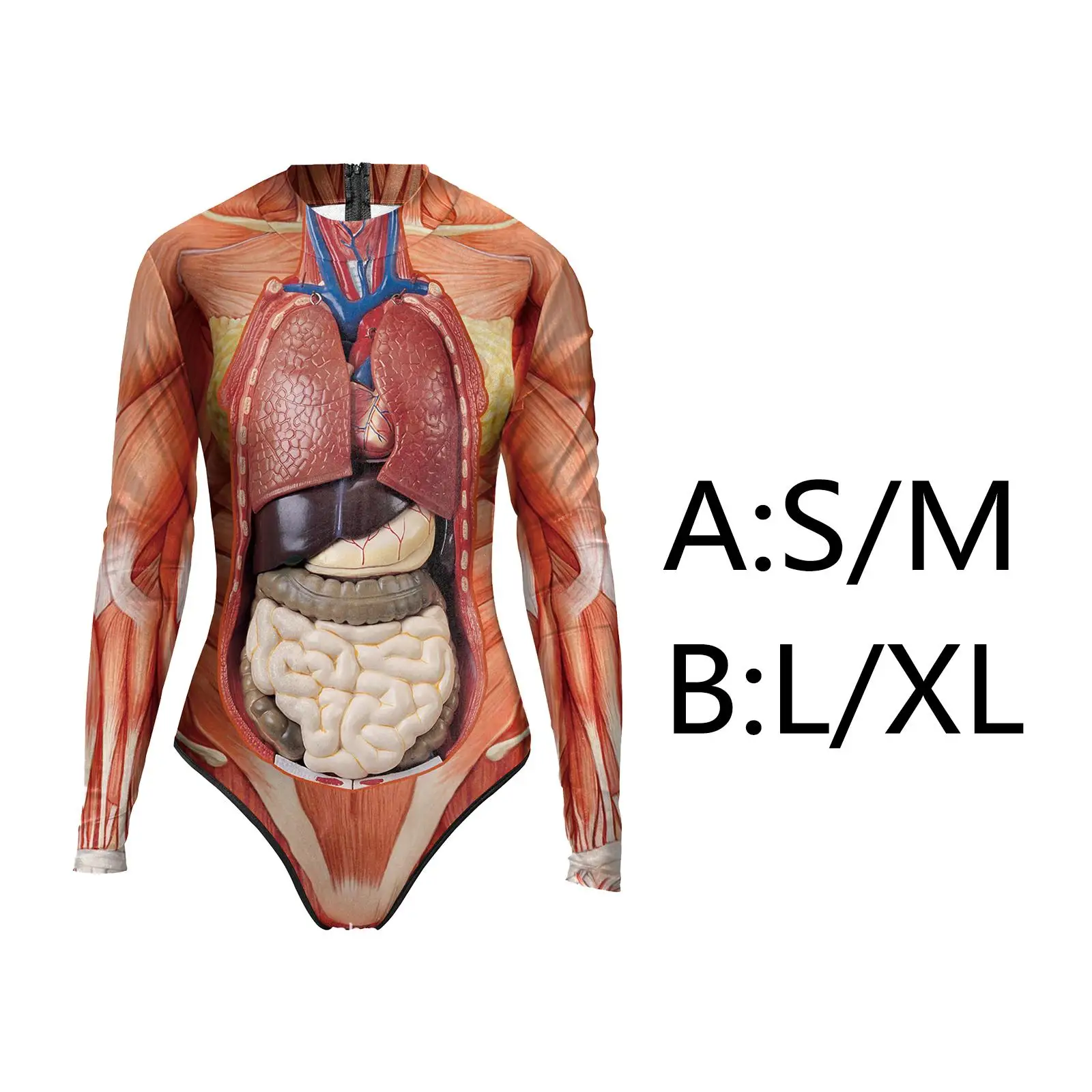 

Long Sleeve Womens One Piece Swimsuit Stretch Human Tissue Zipper Bikini Costume