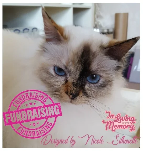 FUNDRASING для Lizzy в любящей памяти металлическая резка Нож Форма Скрапбукинг