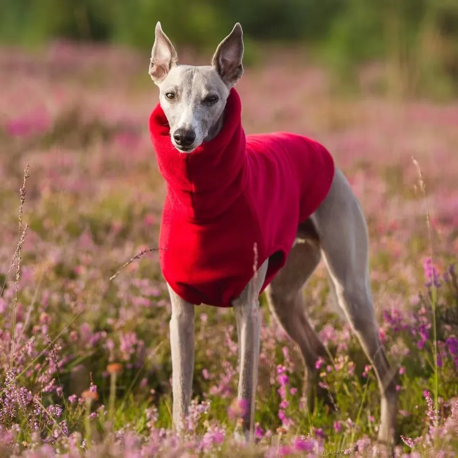 

Winter Turtleneck Greyhound Clothes Whippet Fleece Fleece Clothes Dog Vest Italian Soft Clothes