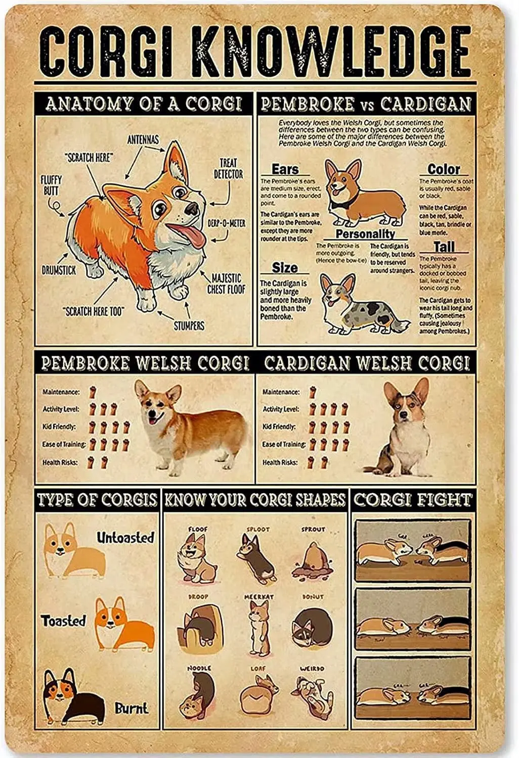 

Знания корги, металлический знак, Настенный декор, алюминиевый плакат, знайте форму корги, Ретро плакат, школа, зоомагазин, кафе, спальня