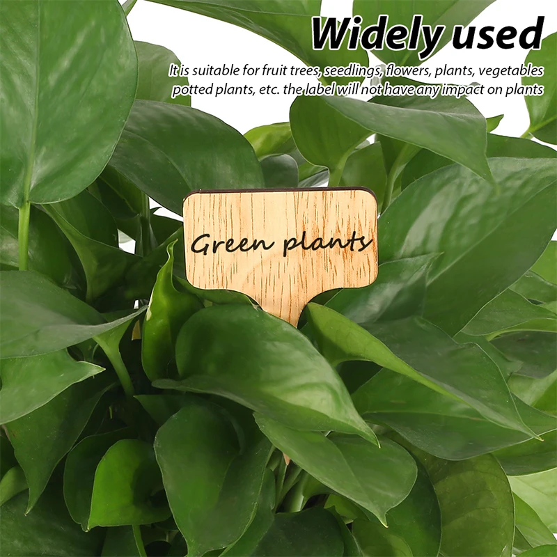 

50Pcs 100%Bamboo Plant Label Flower Gardening Environmental Protection Label Plant Insert Slogan Note Bamboo Card Plant Tags