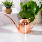 Чайник для полива растений из нержавеющей стали, 500 мл