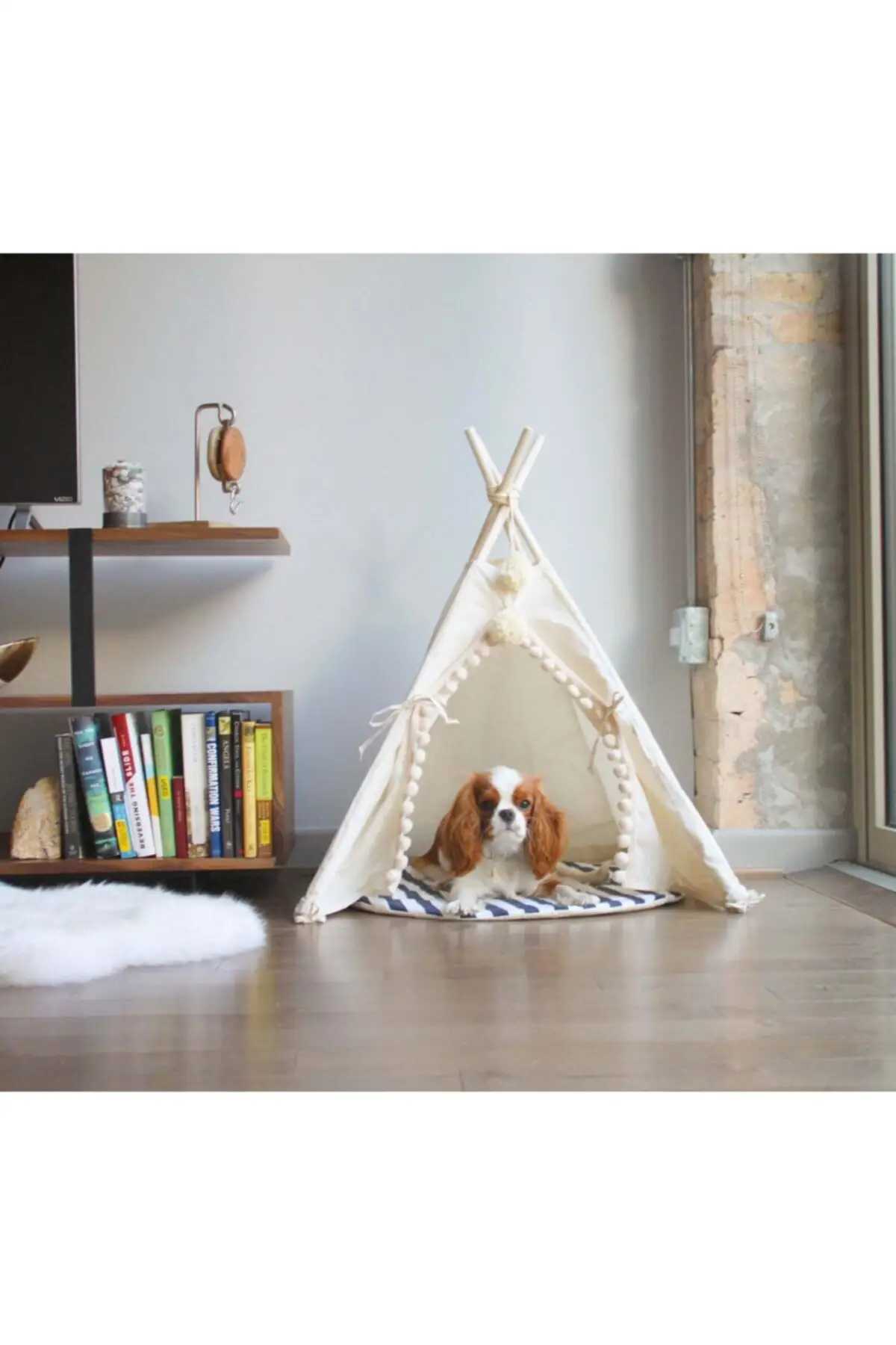

Pet Products
