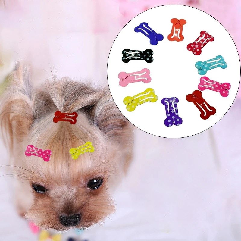 

Hair Hair Puppy Pet Color Pets Hairpin Clips Kitten Pet Dog Bone Puppy Decoration Supplies Hair Random Grooming