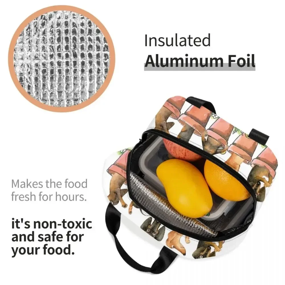 Горшки для цветов таксы изолированные сумки обеда Wiener Badger колбаса собака