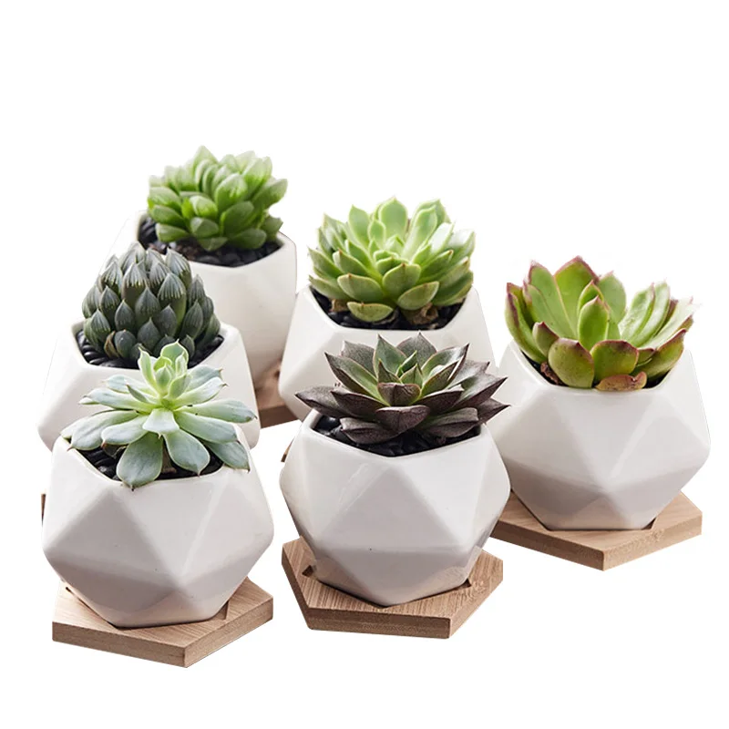 Геометрический белый фарфоровый керамический цветочный горшок Strongwell