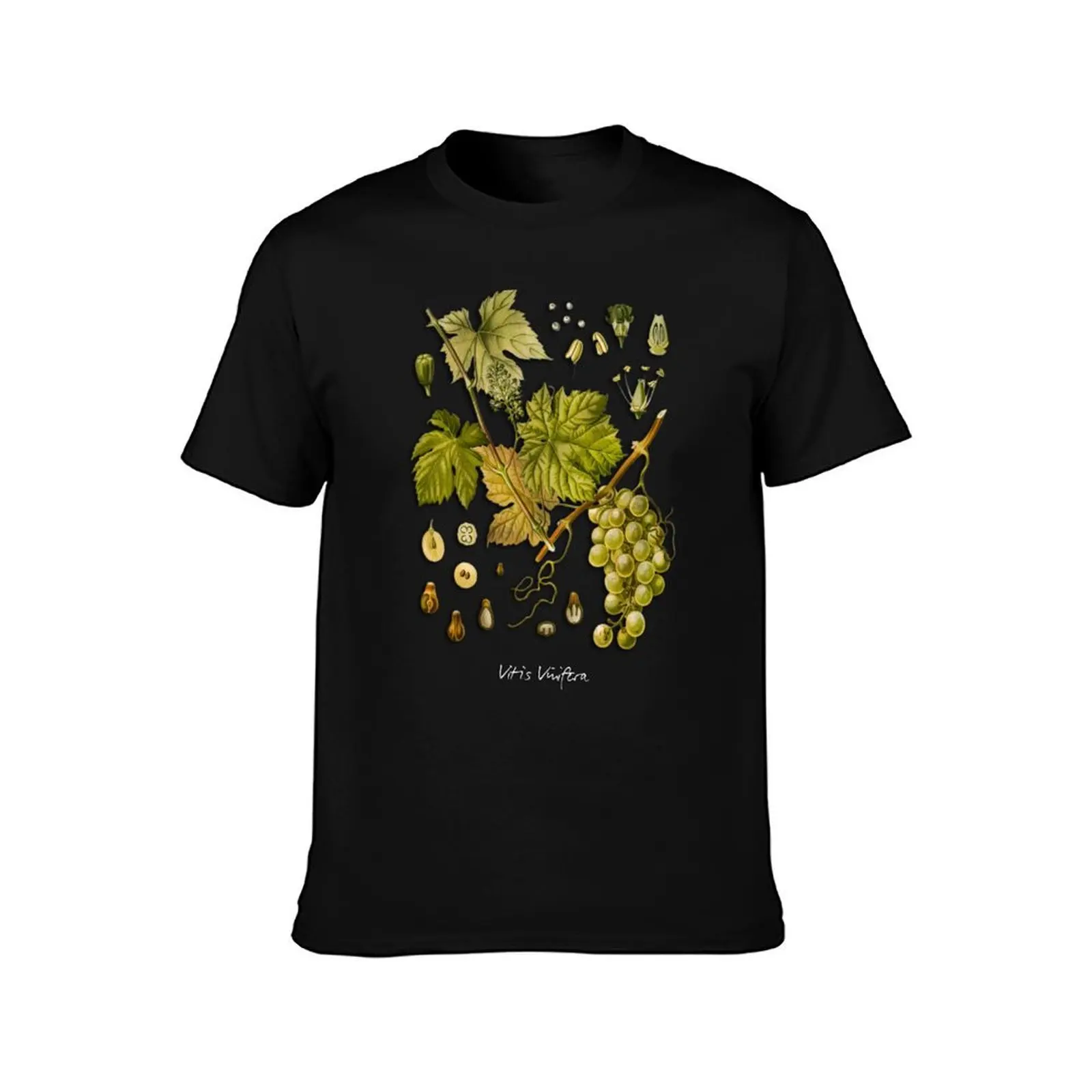 Фото Футболка Vitis vinifera, повседневная уличная одежда, футболка с короткими рукавами №2