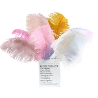 10pcslot multicolor ostrich feathers for wedding dress clothing sewing crafts table centerpieces jewelry handicraft accessories