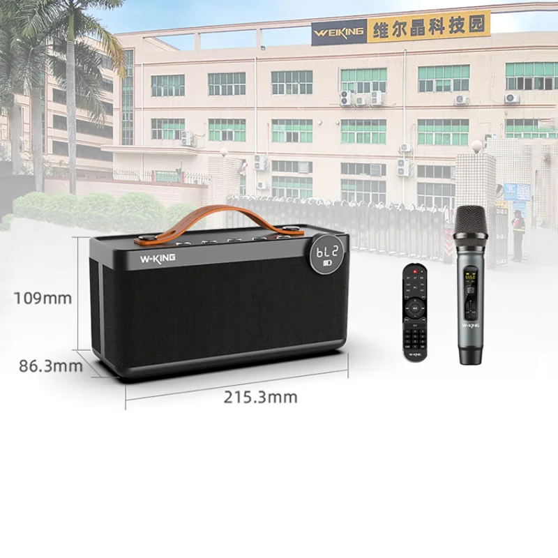 S H6 30 Watts High End Home Hi-fi Speaker High Quality Wireless Bluetooth Karaoke Speakers