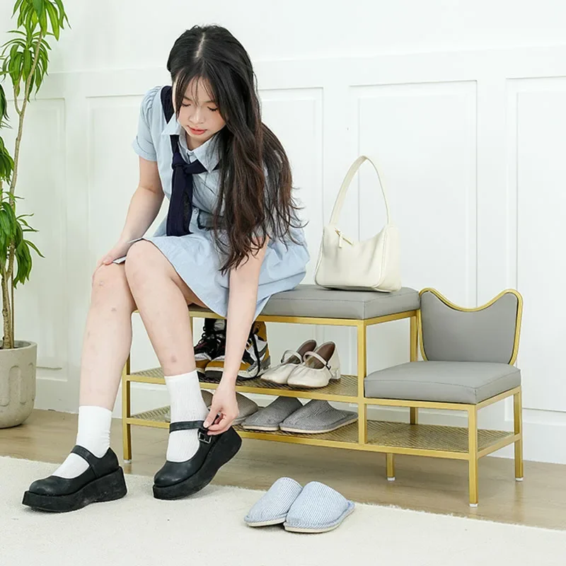 Роскошный женский шкаф органайзер для хранения обуви в гостиной компактная