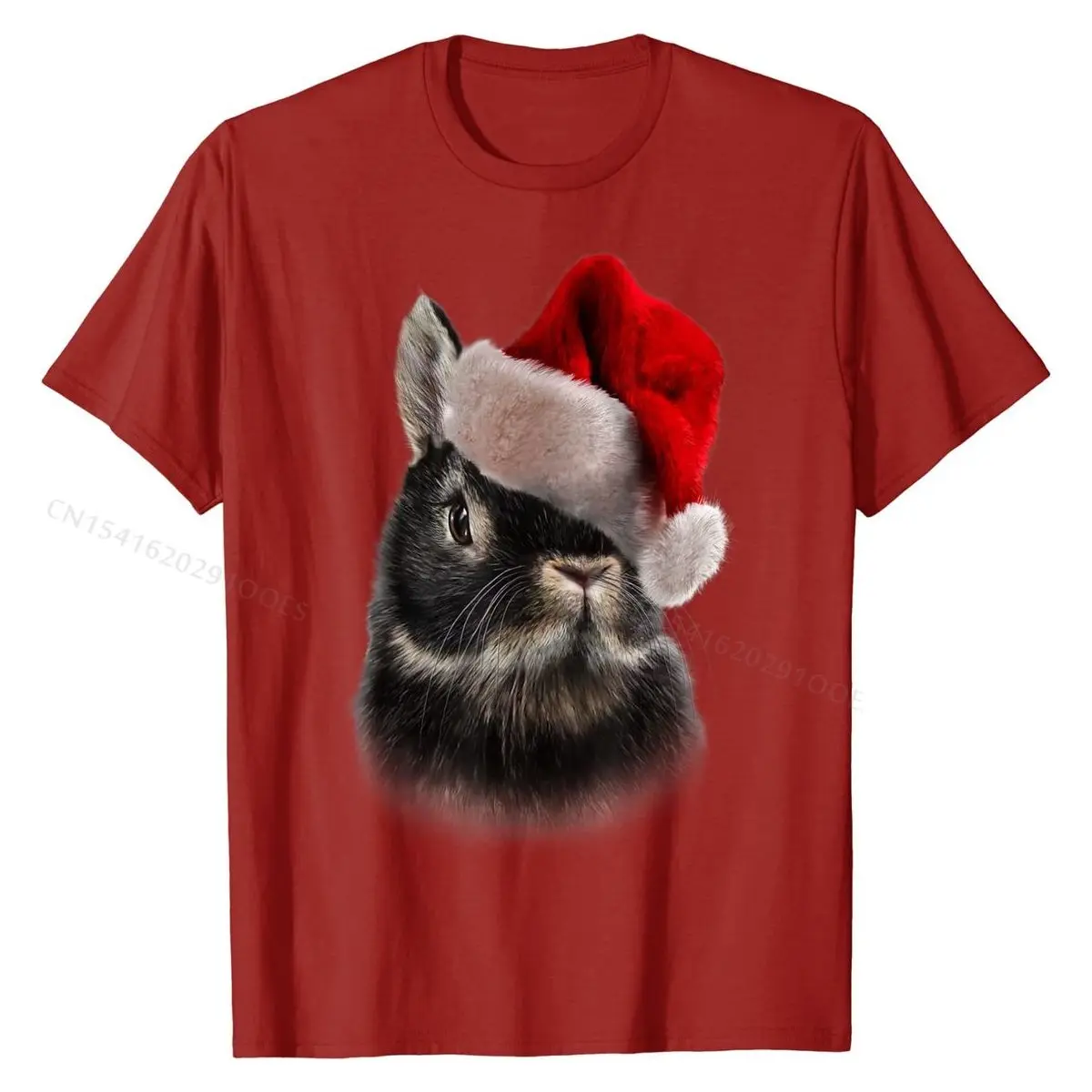 Футболка голландский карлик Рождественская шапка Санты футболки с кроликом топы