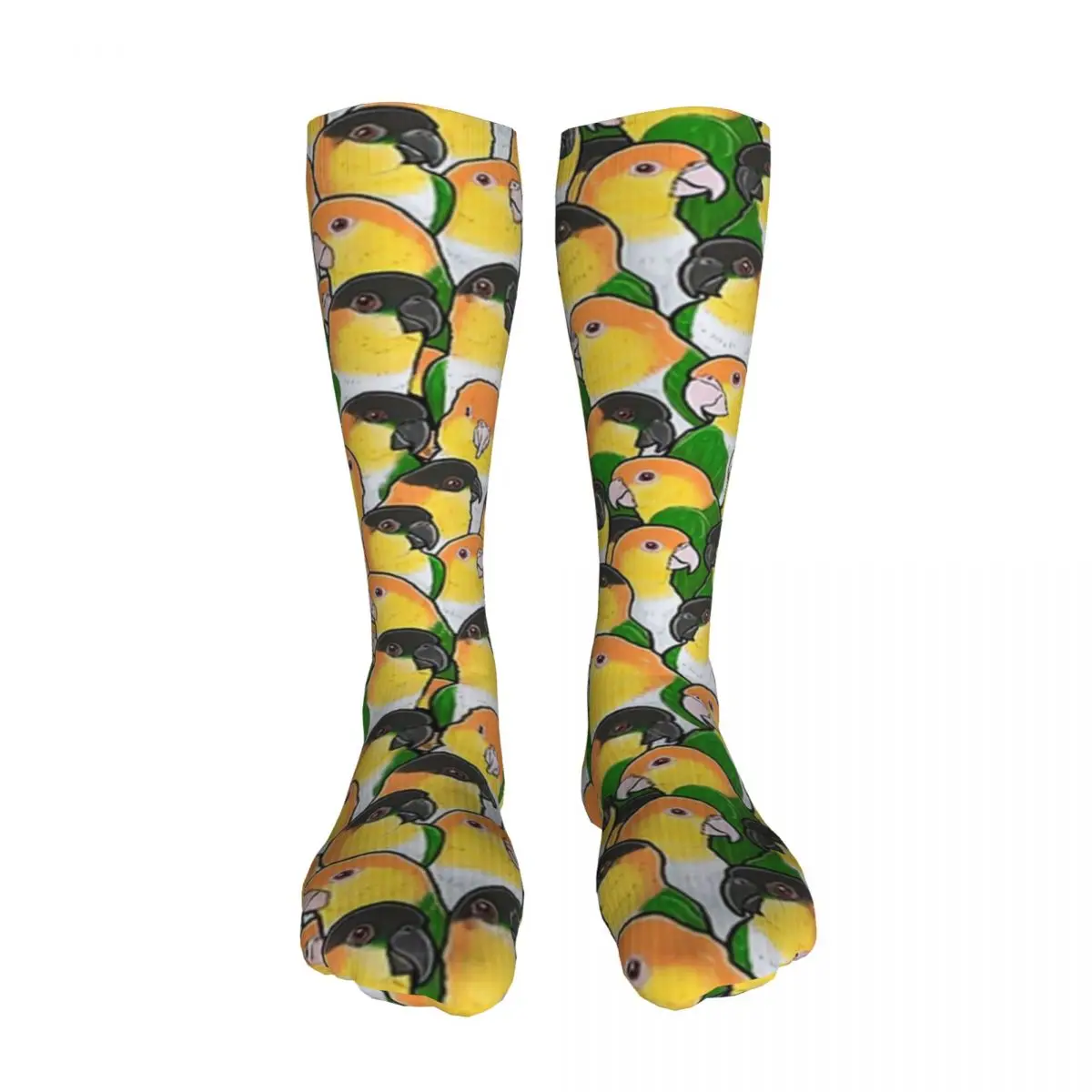 

Чулки Caique с попугаями, утолщенные термочулки, мужские и мужские чулки wo для мужчин, унисекс