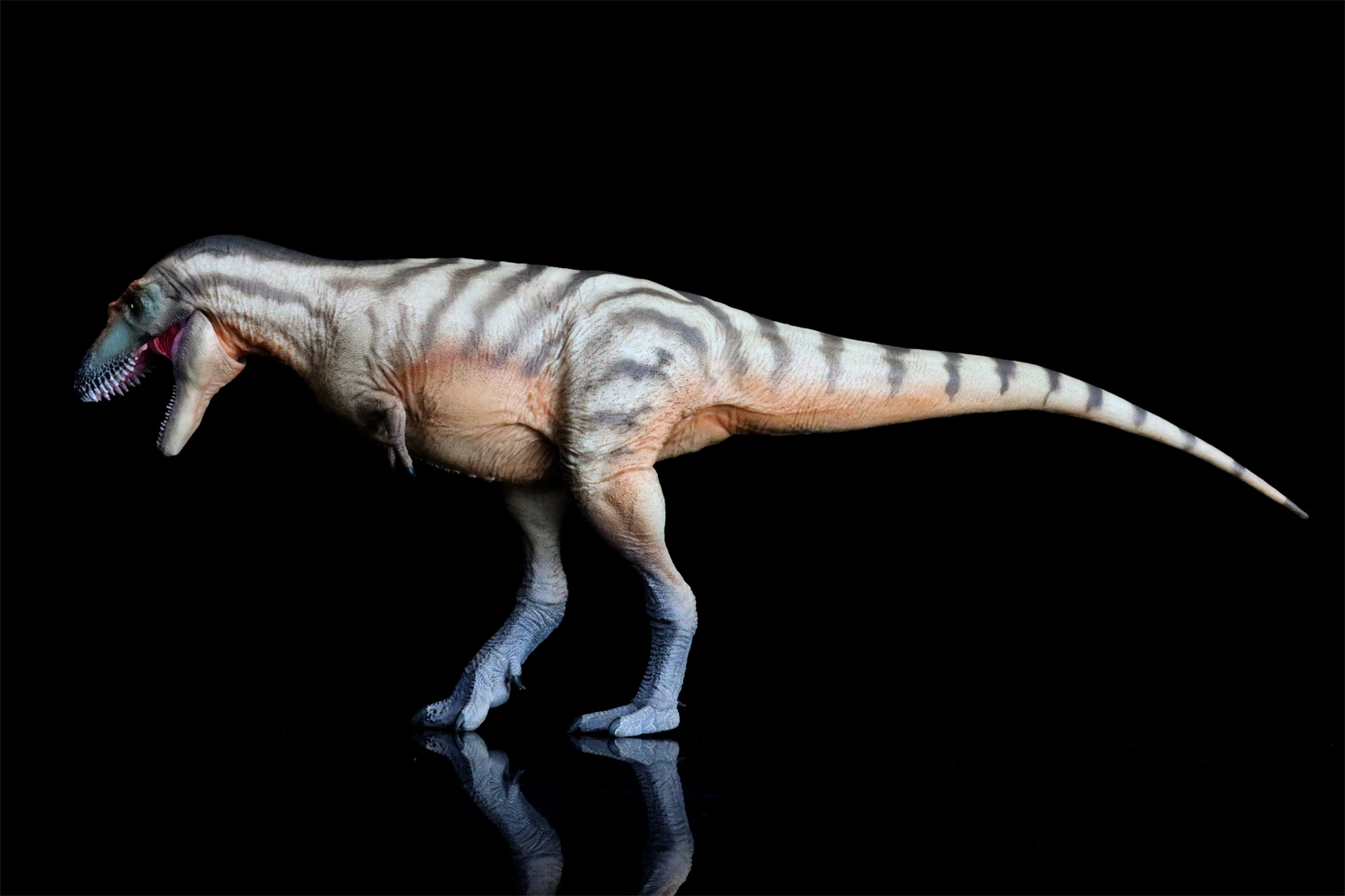 PNSO 71 Gorgosaurus модель Тристана тираннозавр доисторические животные наука динозавр Коллекция Декор подарок Детская развивающая игрушка (art.: 3920c2cd8246a) - 3920c2cd8246a