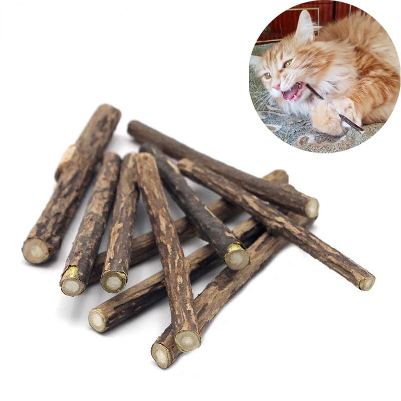 

10/15/20pcs/lot Natural Matatabi Pet Cat Snacks Sticks Cleaning Tooth Catnip Cat Toys Actinidia Silvervine Pet Toy For Cats