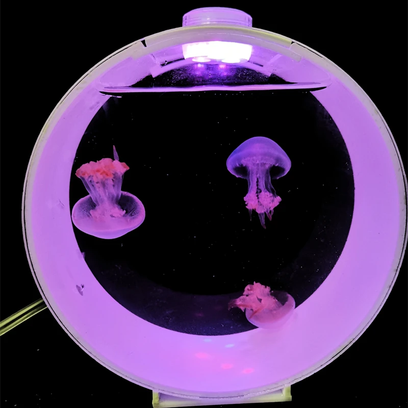 

Entry Bubble Jellyfish Cylinder Sea Moon Inverted Jellyfish Pet Desktop Fresh Water Small Fish Tank