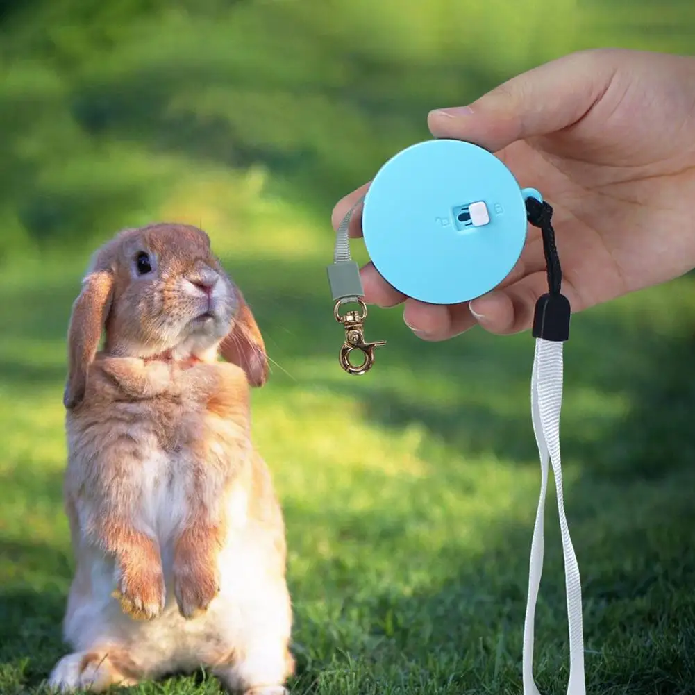 

Pet Cat Automatic Retractable Dog Leash Belt Pet Nylon Outdoor Traction Rope Pet Supplies For Puppy Cat Rabbit