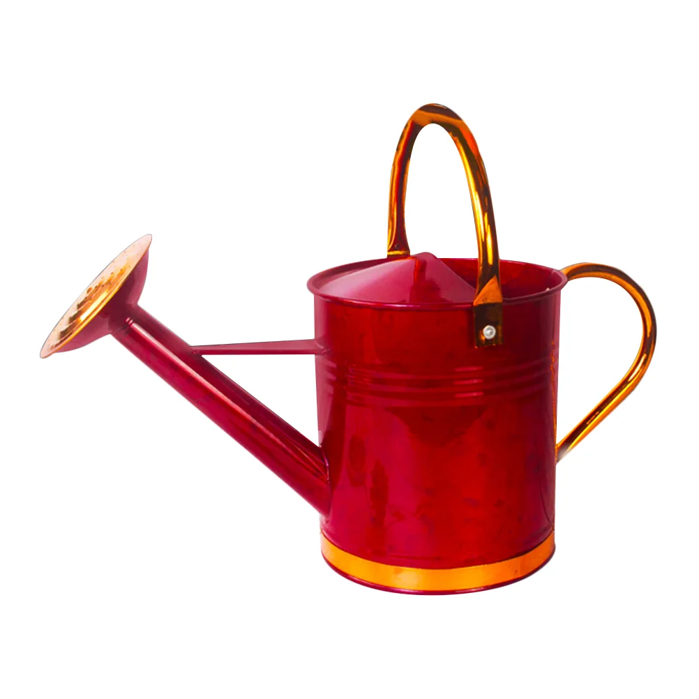 

Watering Can Pot Flower Metal Kettle Garden Bottle Vase Galvanized Iron Water Succulent Spray Farmhouse Sprinkler Planter