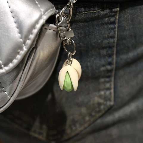 Креативное ожерелье с фисташками, брелок для женщин, забавная сумка, кулон, аксессуары «сделай сам», брелки для ключей, подруга, любовника, удачи, подарок