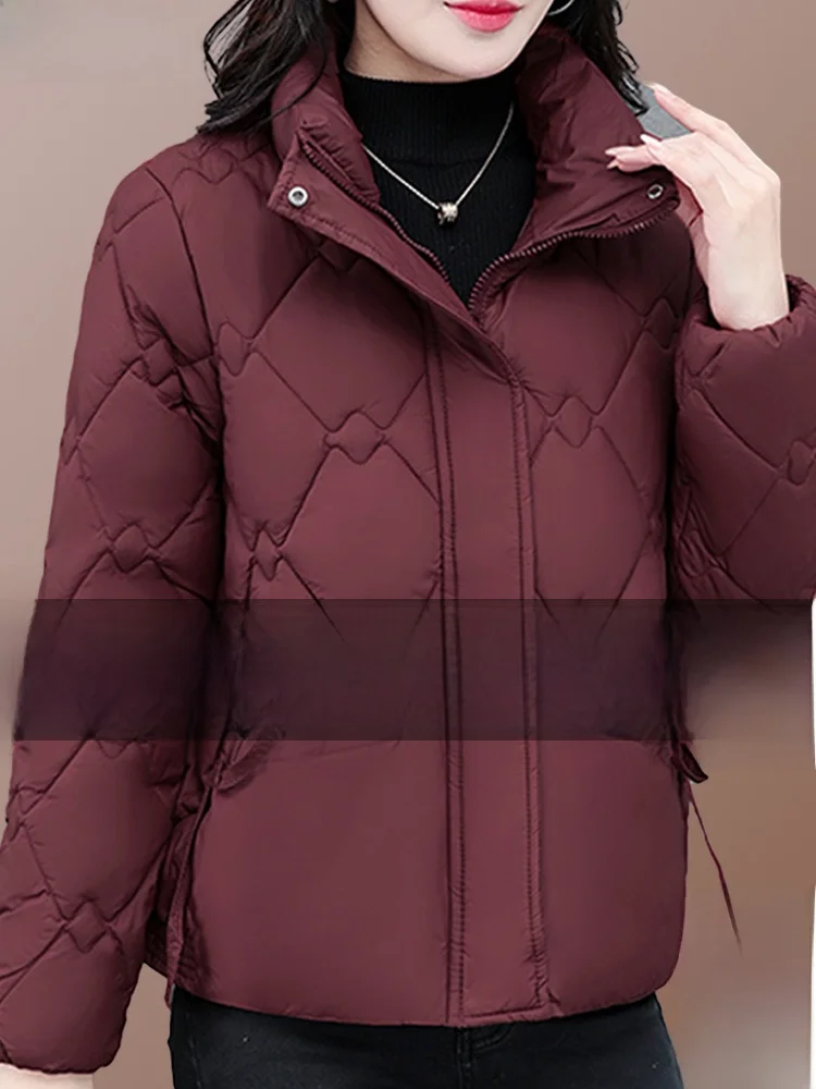 Повседневный модный пуховик Woodpecker одежда с хлопковой подкладкой женская зимняя