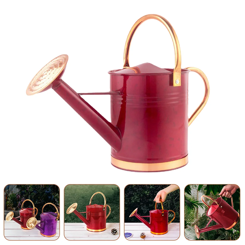 

Iron Long Spout Watering Can Large Capacity Outdoor Indoor Garden Watering Kettle
