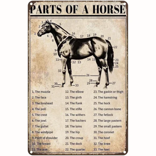Знания о лошади металлический жестяной знак детали в ретро стиле для гостиной
