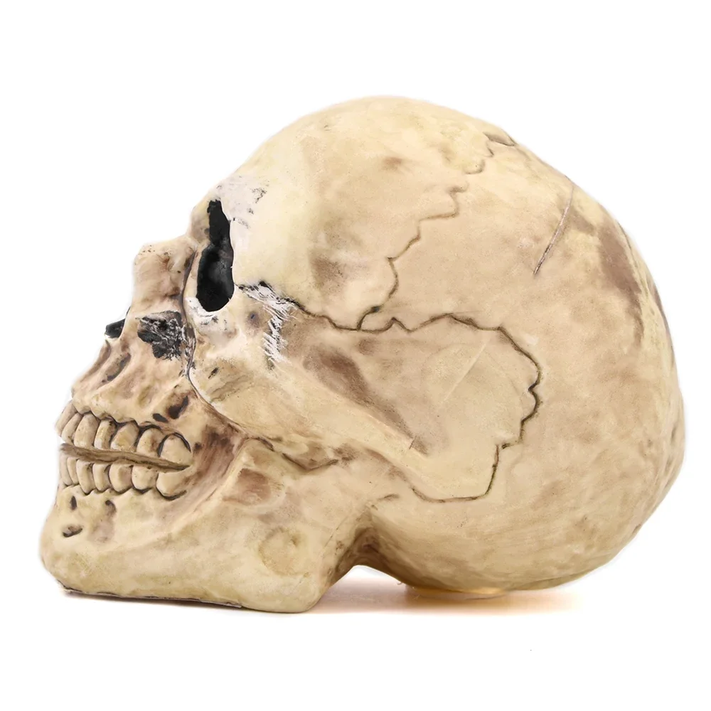 Зомби плавающий череп волшебные трюки сцена магия Череп плавающая мушка