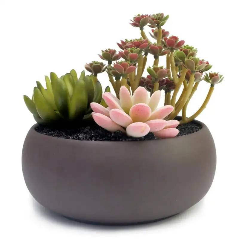 

6.7 Planter Seedling lables plastic Garden supplies Planting mat Garden pots & planters Plants Garden decoration outdoor Bonsai