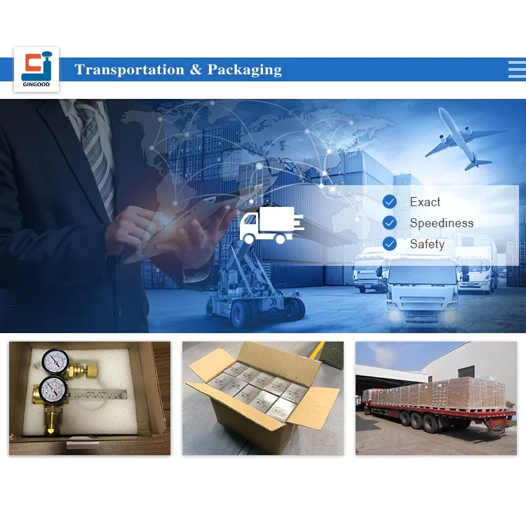 Гарантия качества надлежащая цена точный первичный аргон Co2 манометр