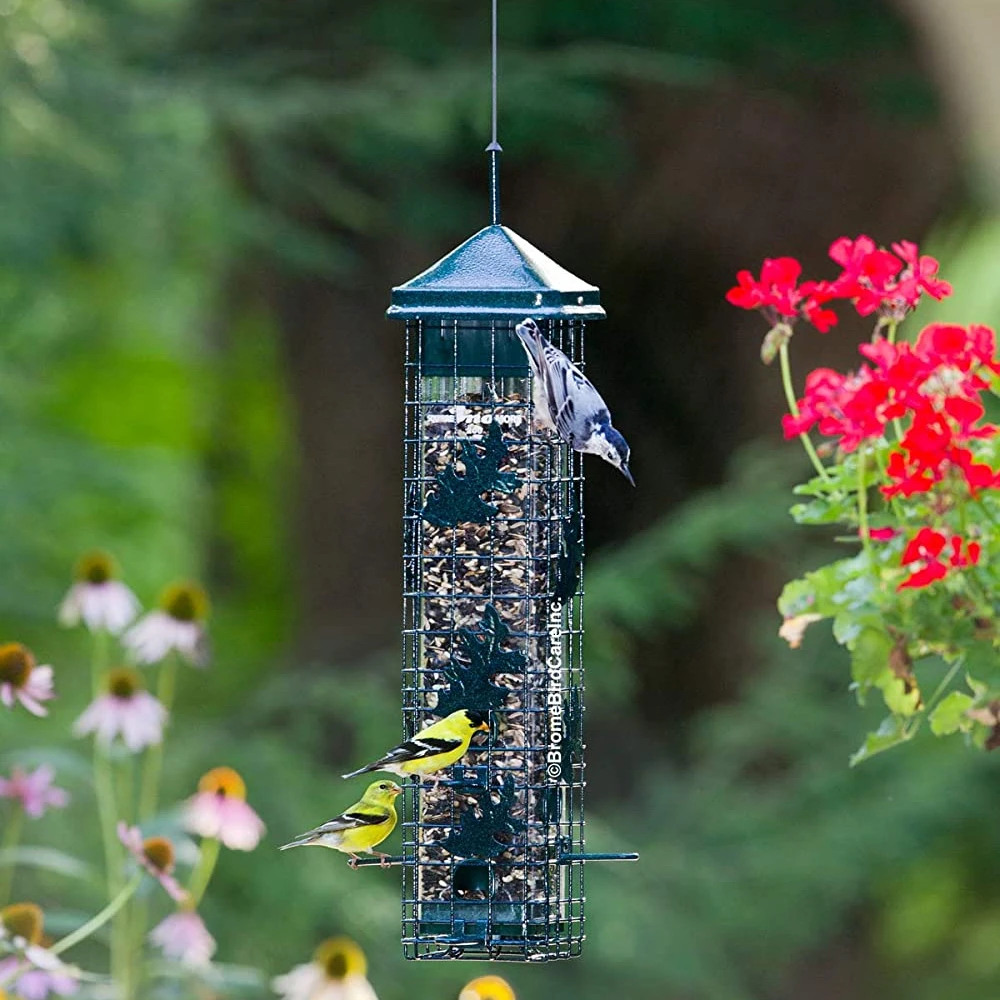 

Squirrel Resistant Bird Feeder with 6 Feeding Ports, 3.4 lb Seed Capacity, Free Seed Funnel humming bird feeder for outdoors
