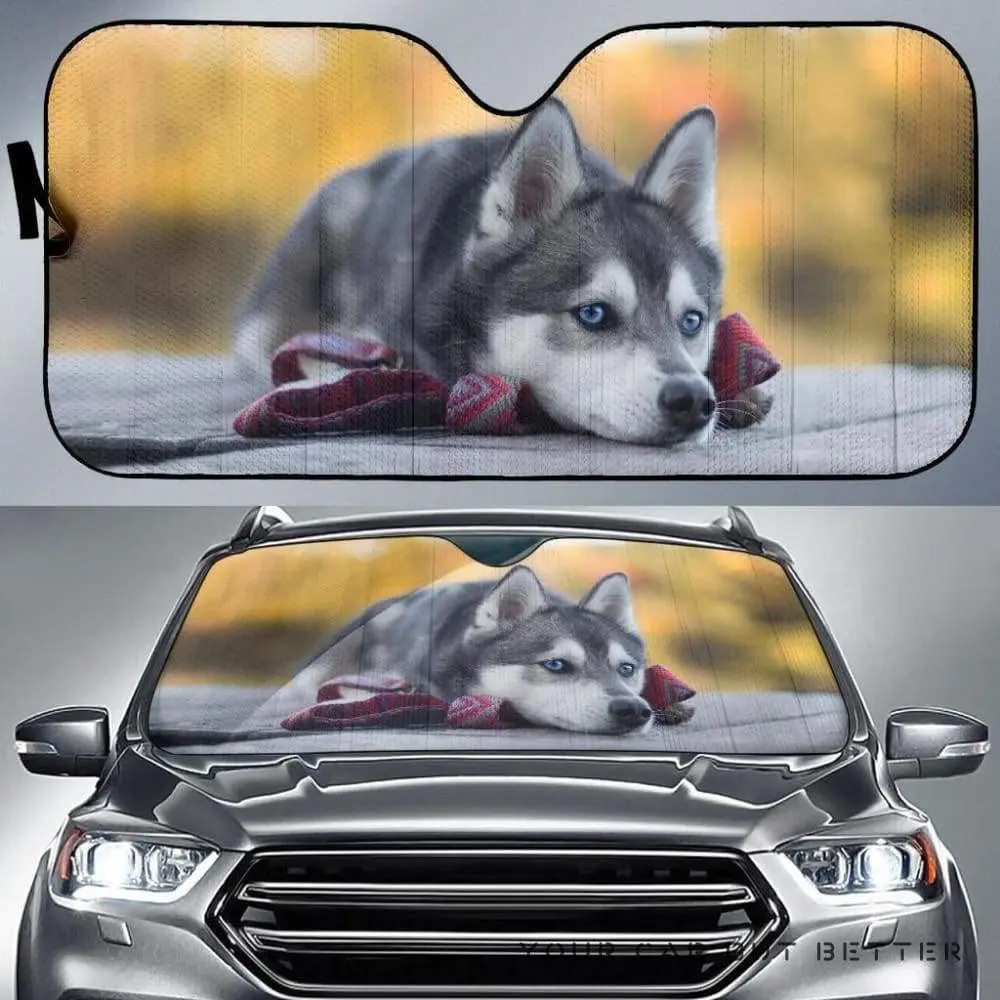 

Cute Siberian Husky Dog With Blue Eyes Image Print Car Sunshade, Siberian Husky Puppy Lying On Floor Image Auto Sun Shade, Winds