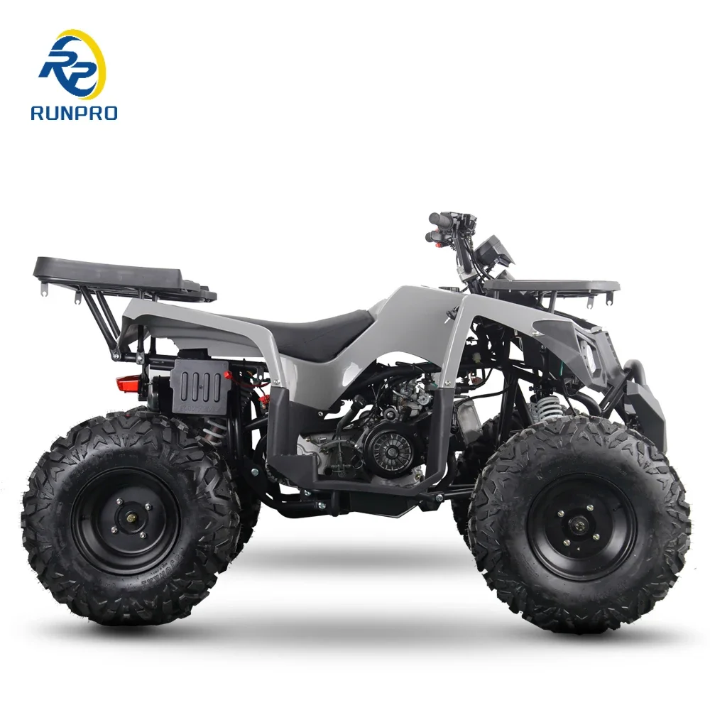 Взрослый 200CC бензиновый квадроцикл 10-дюймовый стальной 4-колесный с