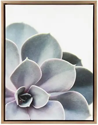 

Succulent 5 Framed Canvas by F2 Images, 23x33 Gray
