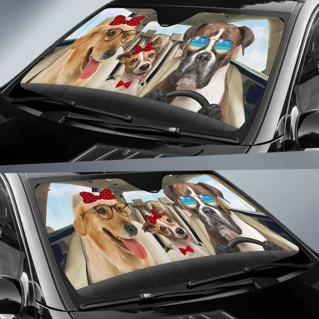 Рисунок 3 - Солнцезащитный козырек для грузовика