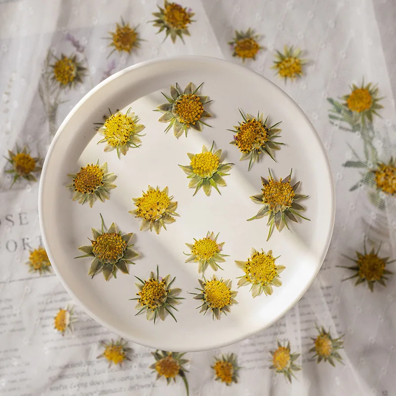 

2-3cm/24pcs,natural Gesang flower core embossing flower,real dried Stamen DIY bookmark gift card phone case decorative material