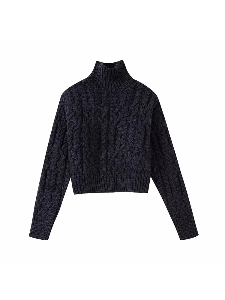 

2022 Autumn/Winter New Vintage Black Fashion Stand-up Collar Chic Woven Decoration Loose and Versatile Knitwear