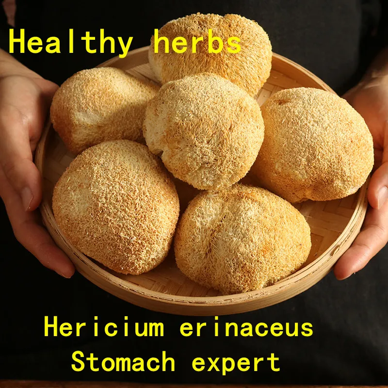 

Грибки дикие львы грива травициум ераницеус сушеные грибы хорошего качества чайник