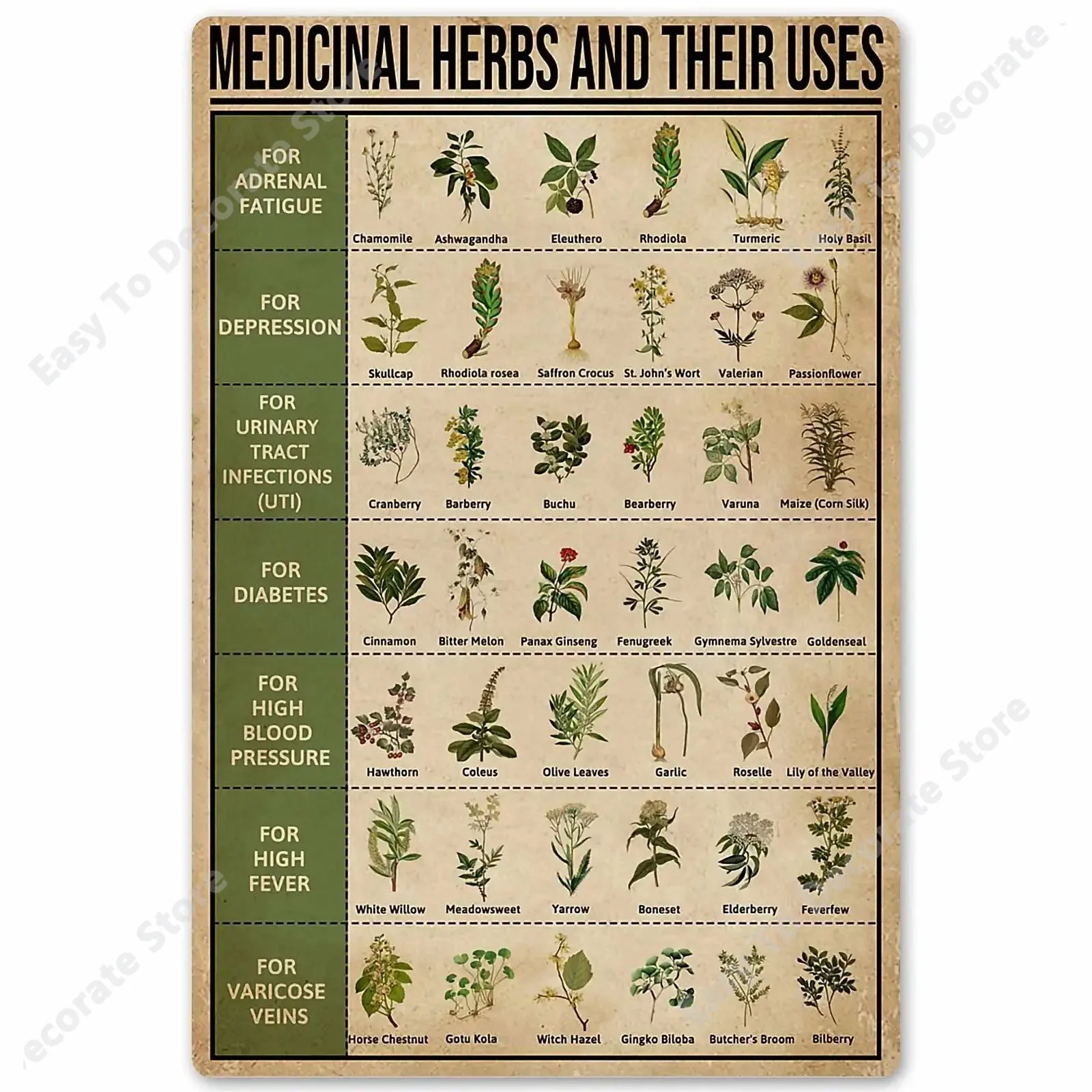 

Medicinal Herbs and Their Uses Posters Metal Signs Wall Decor Room Decor 8x12 Inches Vintage Room Decoration