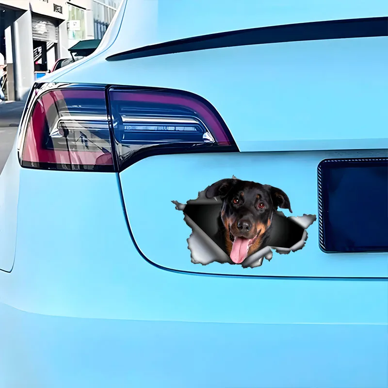 DK570 # Автомобильные наклейки Beauceron самоклеящаяся водонепроницаемая наклейка с