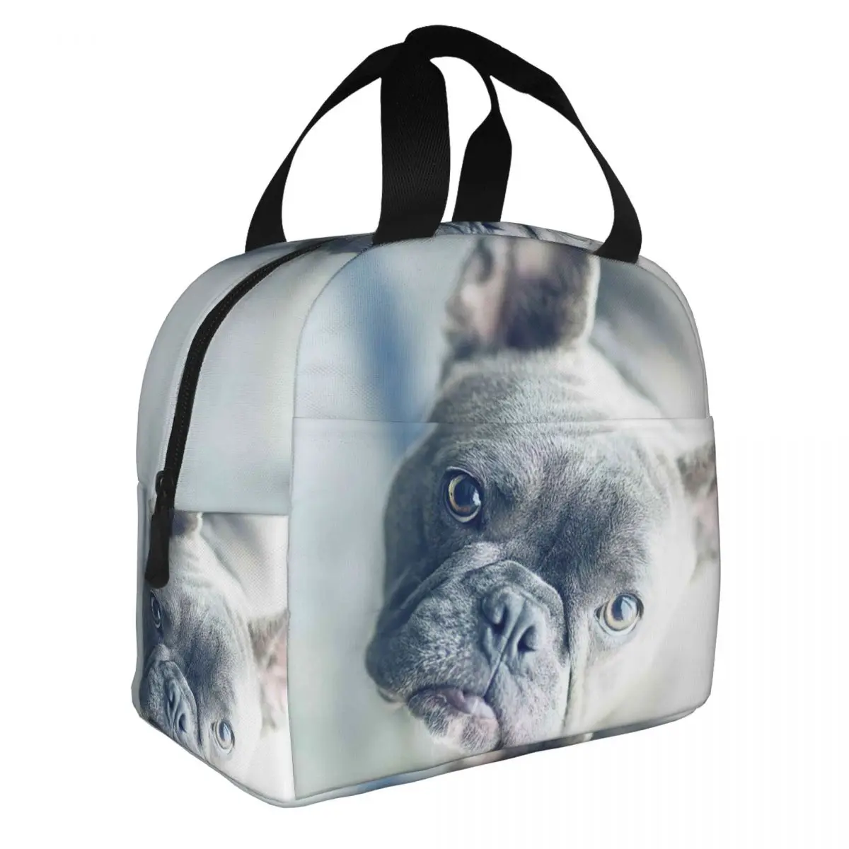 Portrait Of French Bulldog At Home Lunch Bento Bags Portable Aluminum Foil thickened Thermal Cloth Lunch Bag for Women Men Boy