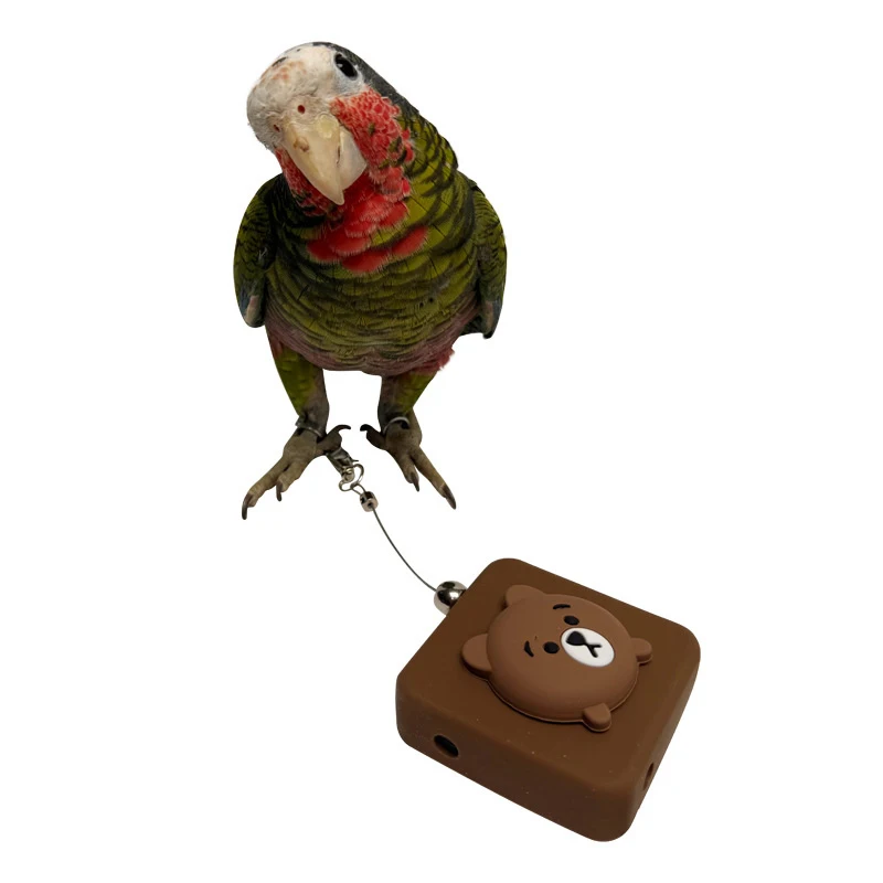 Ультралегкий поводок для полета попугая-безопасная и удобная тренировочная