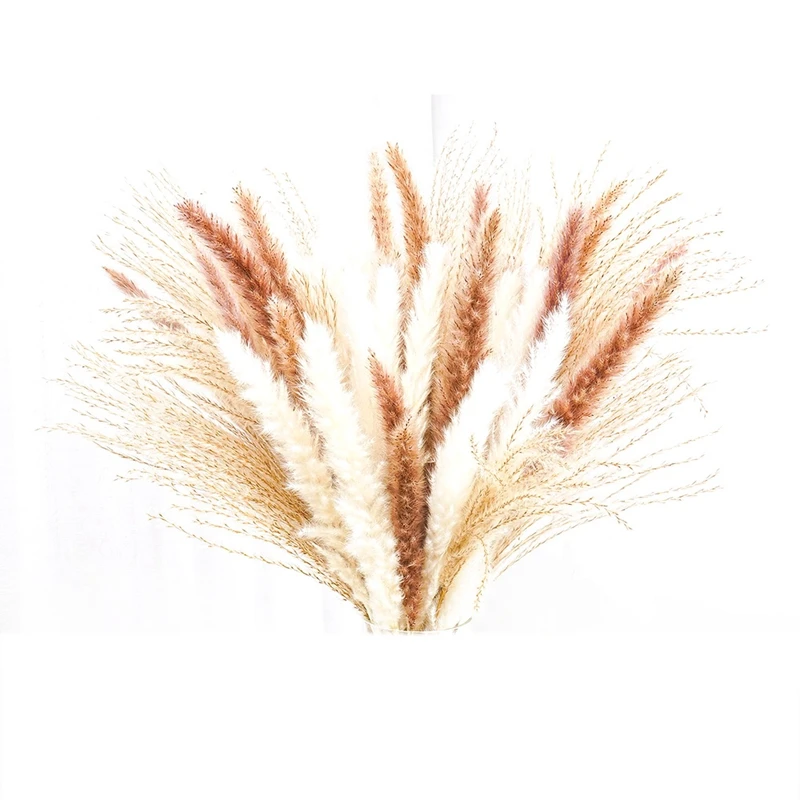 

60 Pcs Natural Dried Pampas Grass,Pampas For Boho Arrangements Wedding Home Decor,Gifts For Women