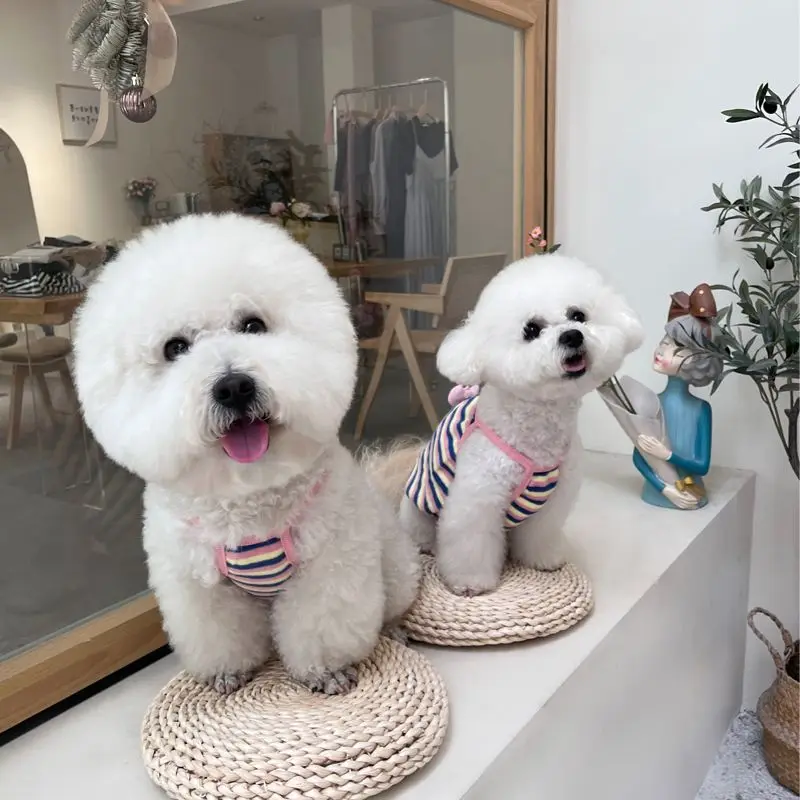 

Spring & Summer Stripe Dog & Cat Clothes, Cute Pet Two-legged Outfit, Anti-shedding ,For Teddy ,Schnauzer,Kitten,Puppy