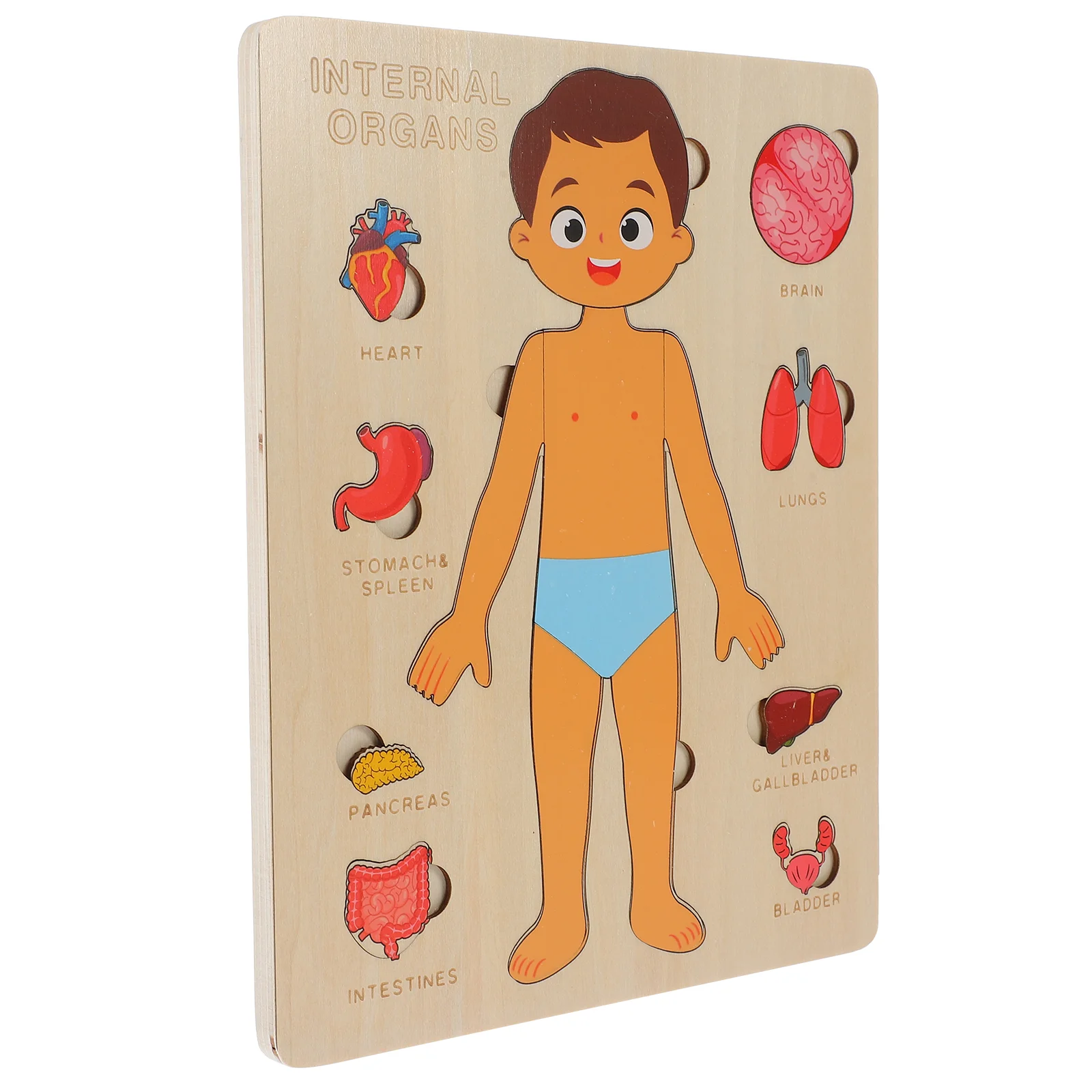 

Children Organs Learning Toy Human Body Puzzle Puzzles Tools Anatomy Model Toys Teaching Aids Cognitive