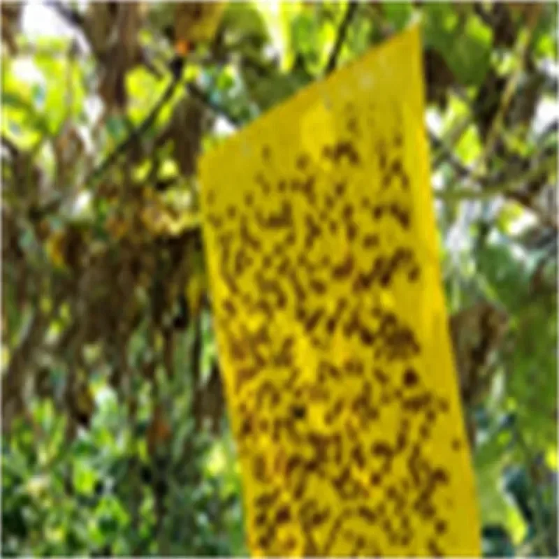 20/10/5 шт. наклейки-ловушки для фруктов